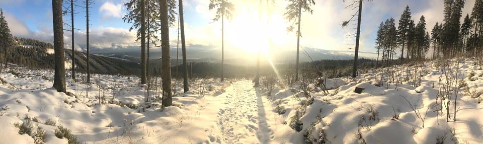 xposrt wypozyczalnia skitury